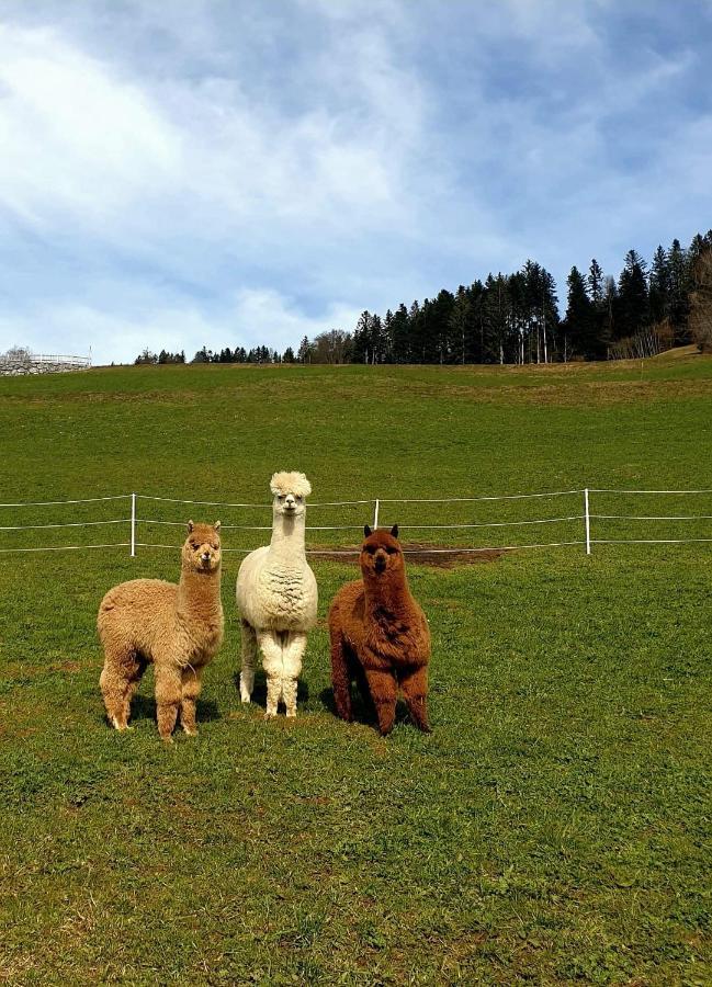 Ferienhaus Brittenberg Schwarzenberg im Bregenzerwald Buitenkant foto