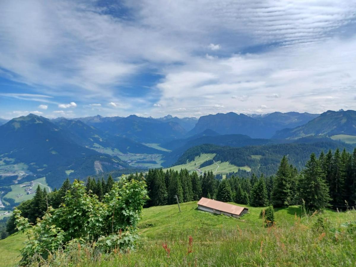 Ferienhaus Brittenberg Schwarzenberg im Bregenzerwald Buitenkant foto